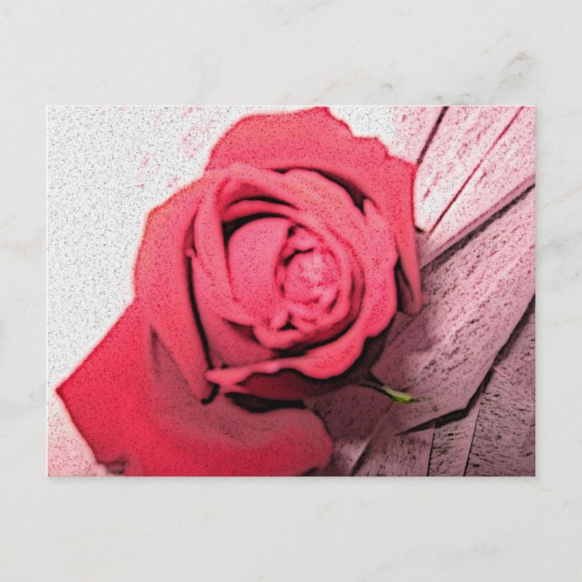 Red Rose Postcard (Front)