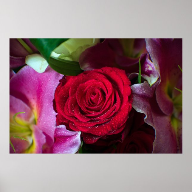 RED ROSE POSTER (Front)