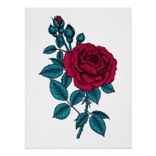Red rose poster