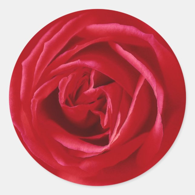 Red rose print classic round sticker (Front)