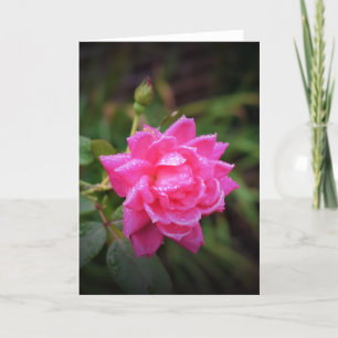 Red Rose & Raindrops, card