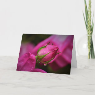 Red Rose & Raindrops, card