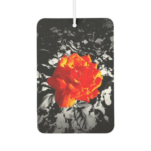 Red rose Rectangle Air Freshener (Front)