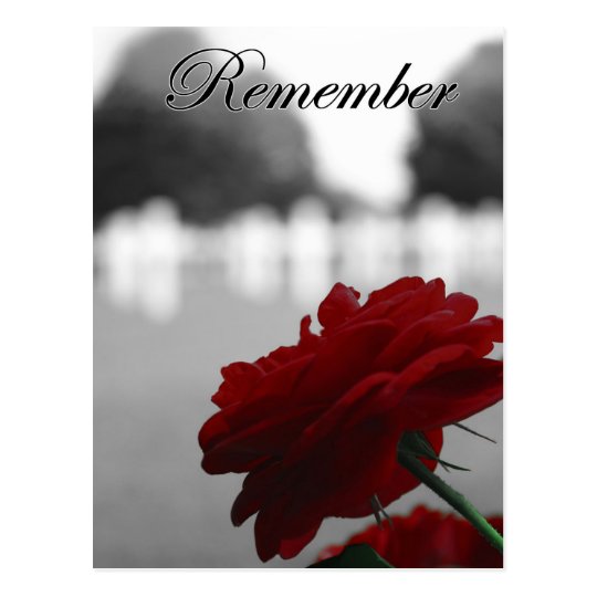 Red Rose Remember Memorial Day Postcard | Zazzle.ca