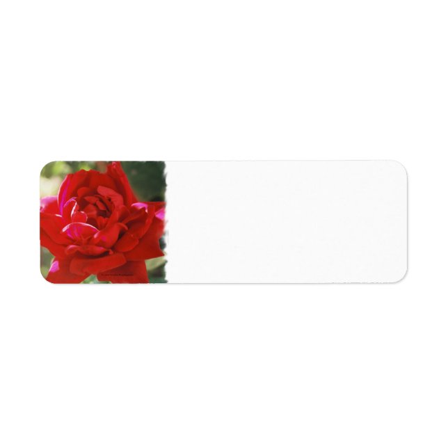 Red Rose Return Address Labels (Front)