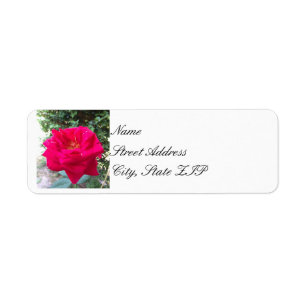 Red Rose Return Address Lables
