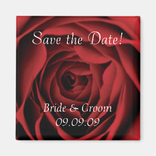 Red Rose Save the Date Magnet
