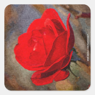 Red Rose Square Sticker
