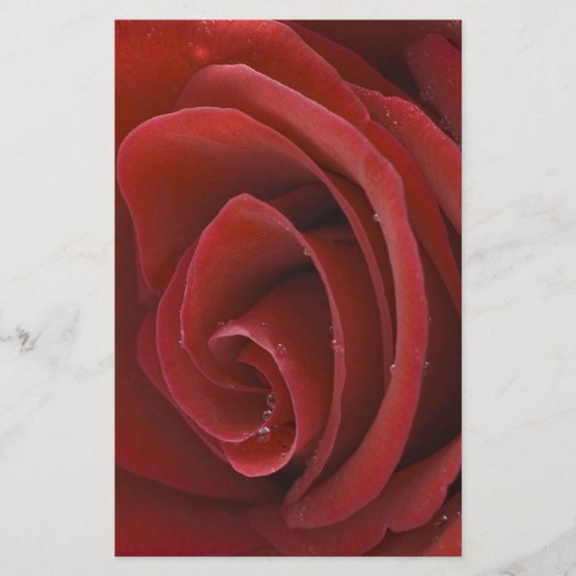 Red Rose Stationary Stationery (Front)