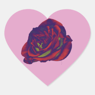 Red Rose Sticker