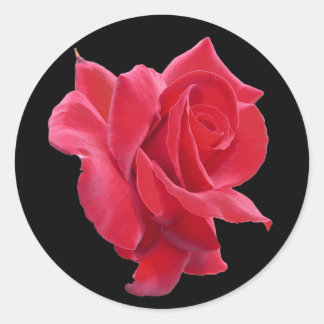 Red Rose Sticker