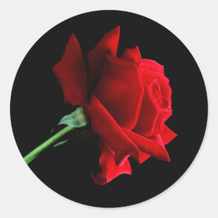 Red Rose Stickers