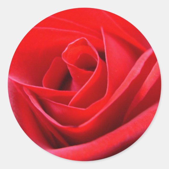 Red Rose Stickers Pink Red Rose Gifts Keepsake (Front)