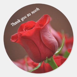Red rose thank you sticker