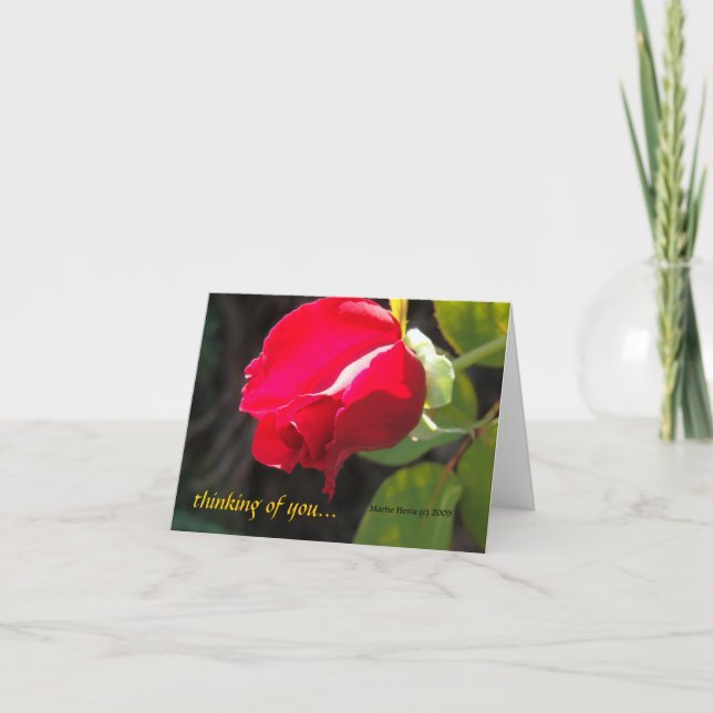 Red Rose - Thinking of You - CA GardensCard Card (Front)