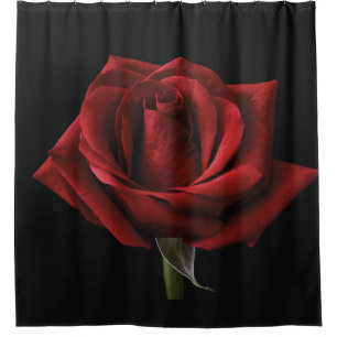 Red rose throw pillow