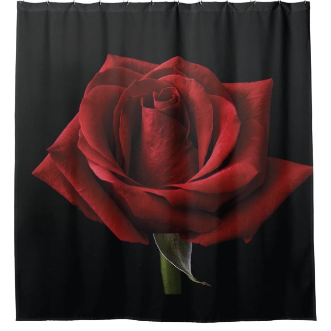 Red rose throw pillow (Front)
