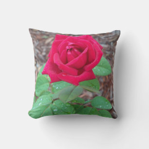 Red Rose Throw Pillow