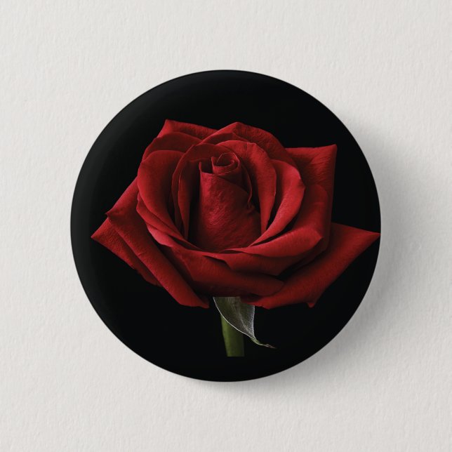 Red rose throw pillow 2 inch round button (Front)