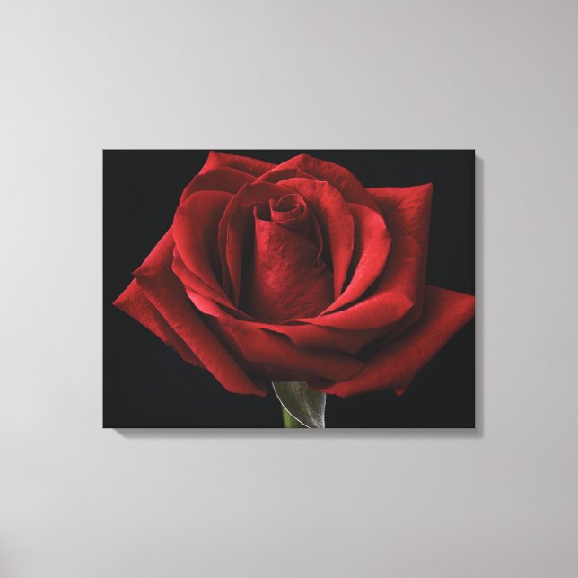 Red rose throw pillow canvas print (Front)