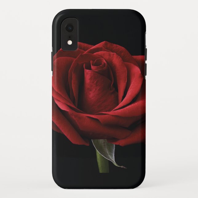 Red rose throw pillow Case-Mate iPhone case (Back)