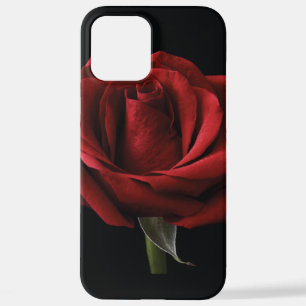 Red rose throw pillow iPhone 12 pro max case