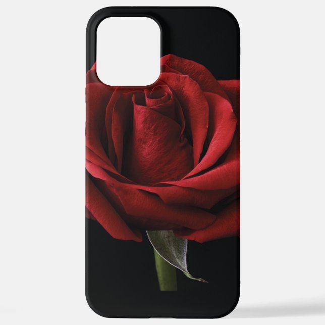 Red rose throw pillow iPhone case (Back)