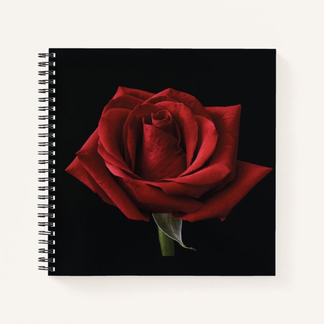 Red rose throw pillow notebook (Front)