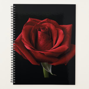Red rose throw pillow planner