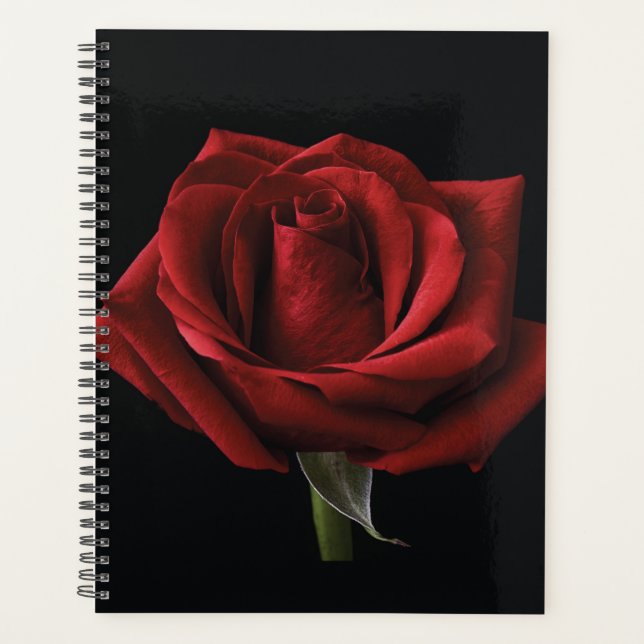 Red rose throw pillow planner (Front)
