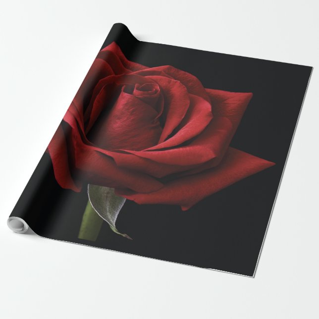 Red rose throw pillow wrapping paper (Unrolled)