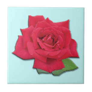 Red Rose Tile