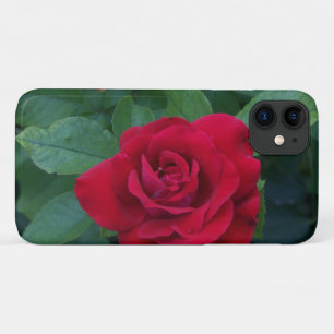 Red Rose Up Close iPhone 11 Case