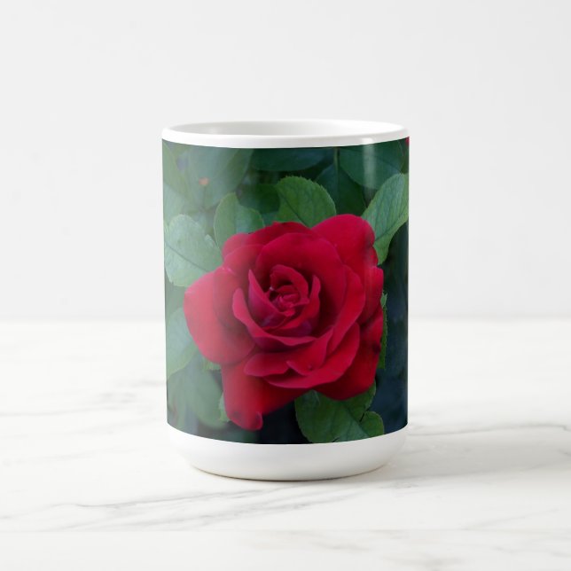 Red Rose Up Close Coffee Mug (Center)