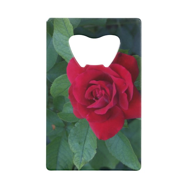 Red Rose Up Close Credit Card Bottle Opener (Front)