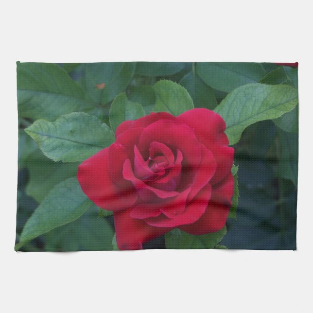 Red Rose Up Close Kitchen Towel (Horizontal)