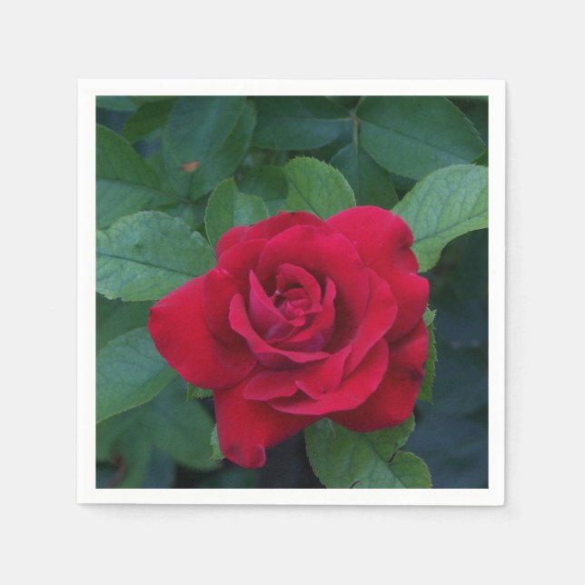 Red Rose Up Close Napkin (Front)