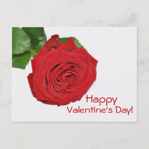 Red Rose Valentine's Day Postcard