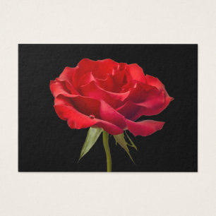 Red Rose w/ Dew Drop on Black Background Custom