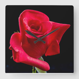 RED ROSE Wall Clock