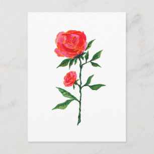Red Rose Watercolor Postcard