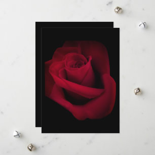 Red Rose Wedding Invitation, Save the date Holiday Card