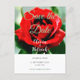 Red Rose Wedding Save the Date  Invitation Postcard