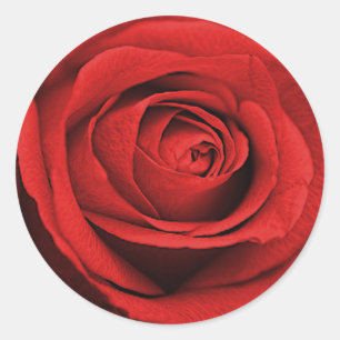 Red Rose White (Any Colour) Rustic Glam Wedding Classic Round Sticker