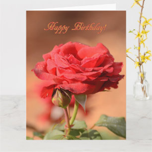 Red Rose with Bud Happy Birthday  Card