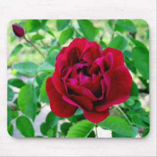 Red Rose with Bud Mouse Pad