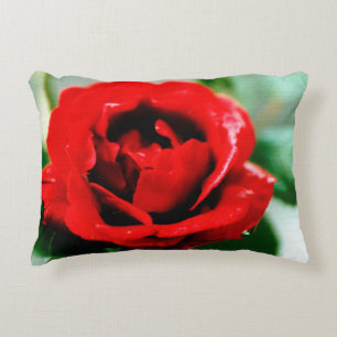 Red Rose with Dew Drops  Accent Pillow