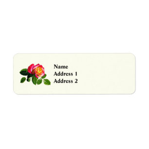 Red Rose With Golden Yellow Centre