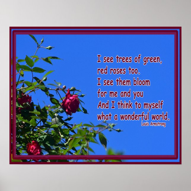Red rose with Louie Armstrong quote Poster (Front)