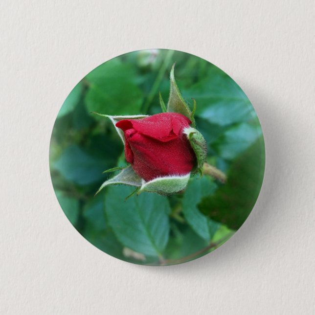 red rosebud 2 inch round button (Front)